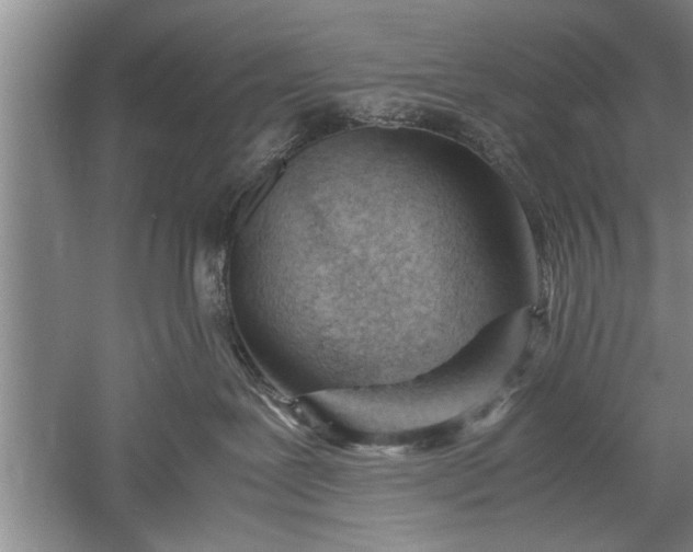 X0000052550239200507152208