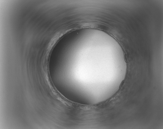 X0000052550241200507152207