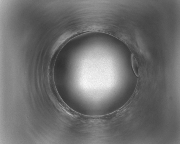 X0000052550242200507152207