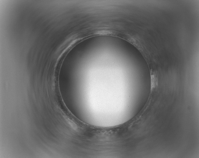 X0000052550243200507152207