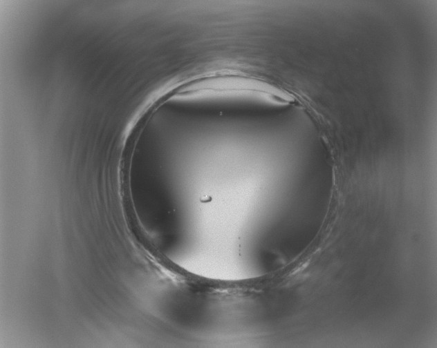 X0000052550244200507152207