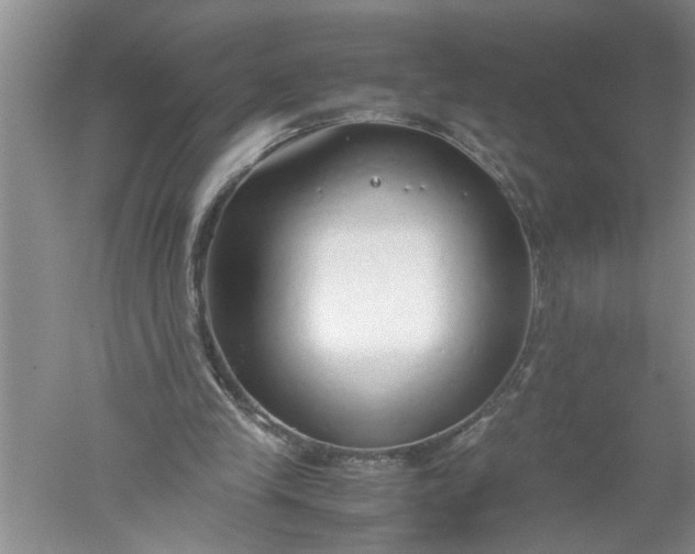 X0000052550245200507152207