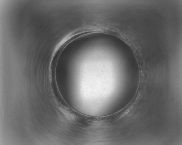 X0000052550246200507152207