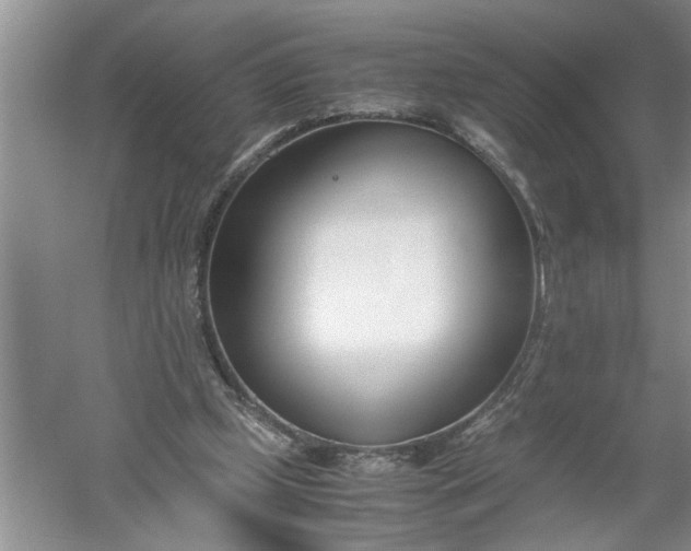 X0000052550249200507152207