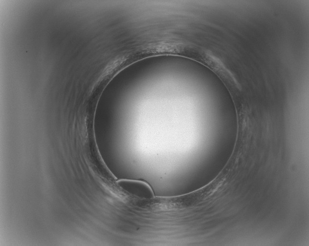 X0000052550250200507152207