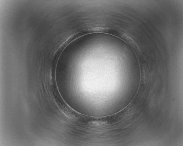 X0000052550251200507152207