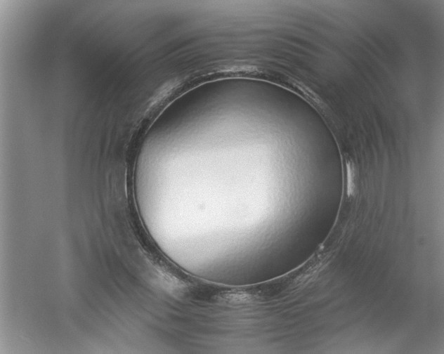 X0000052550253200507152207