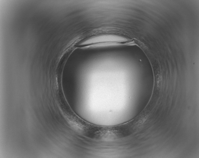 X0000052550254200507152207