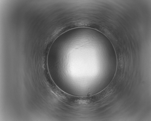 X0000052550255200507152207