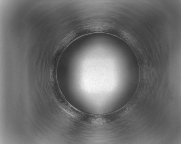 X0000052550258200507152207