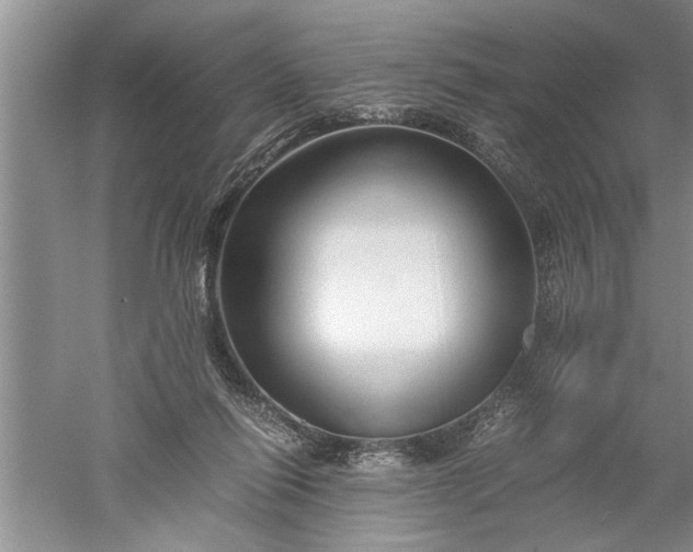 X0000052550262200507152207