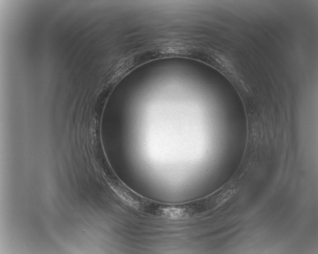 X0000052550265200507152207