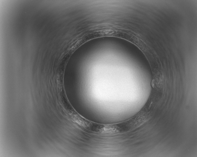 X0000052550270200507152207