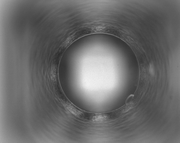 X0000052550274200507152207