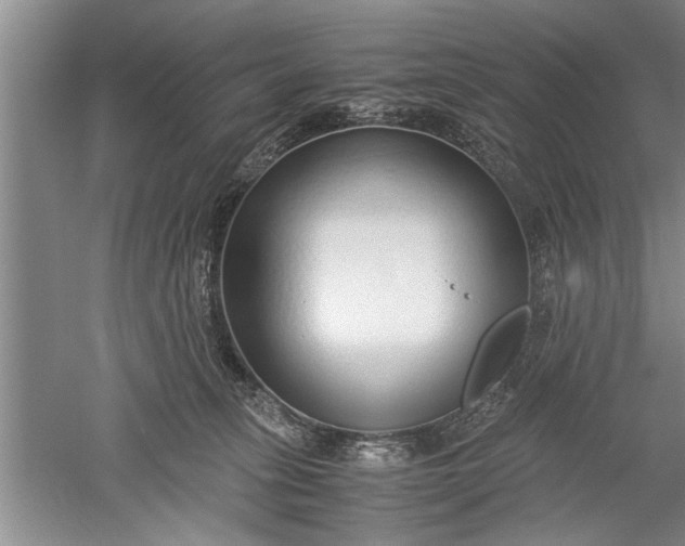 X0000052550275200507152207