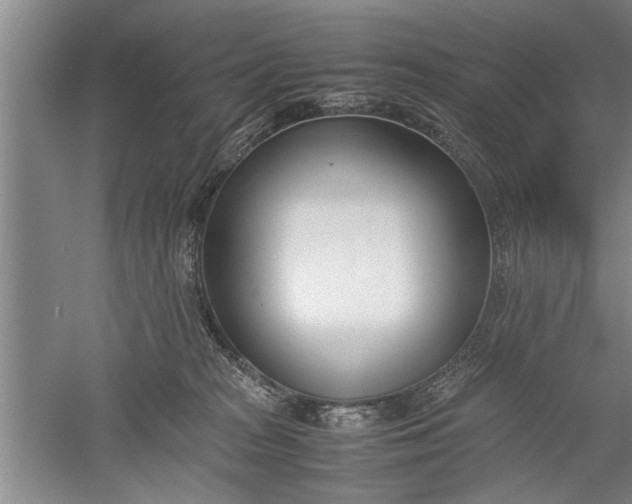 X0000052550277200507152207