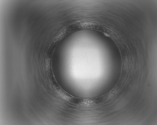 X0000052550278200507152207