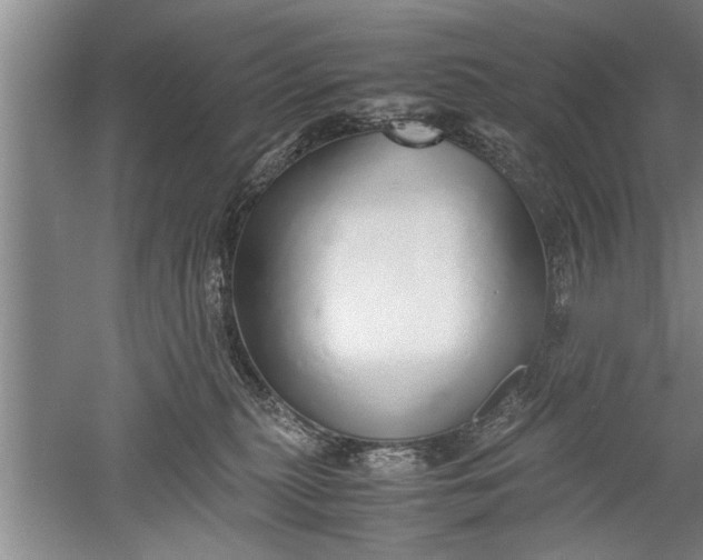 X0000052550279200507152208