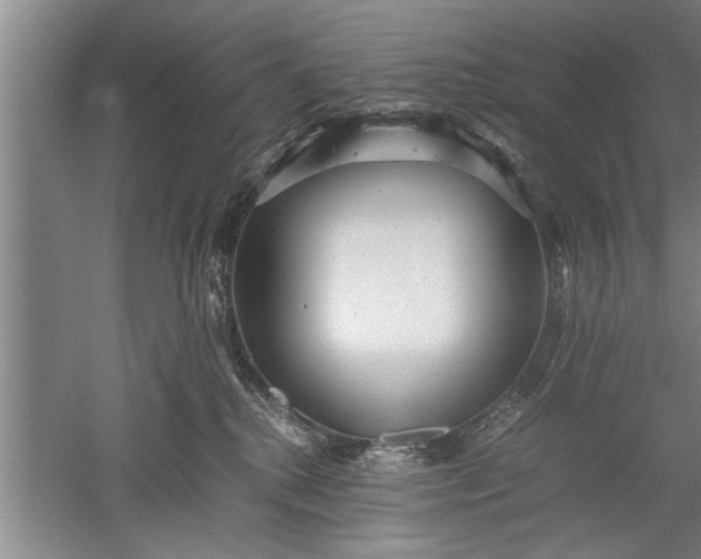 X0000052550280200507152208