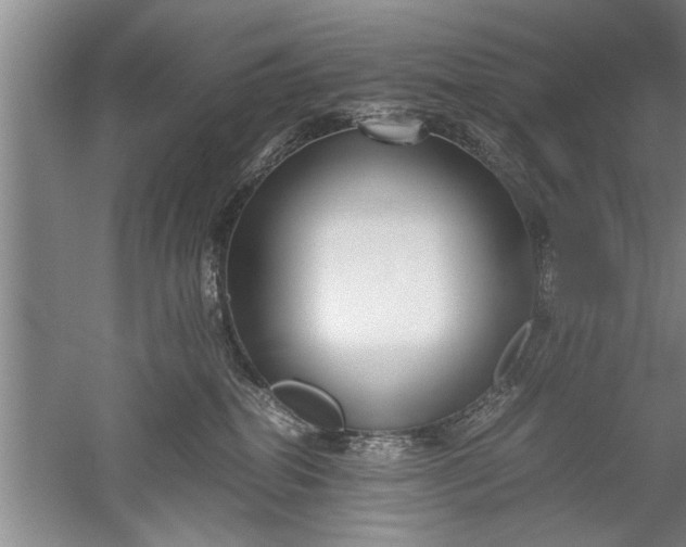 X0000052550282200507152208