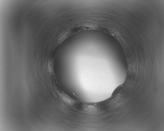 X0000052550285200507152208