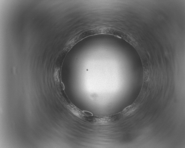 X0000052550286200507152208