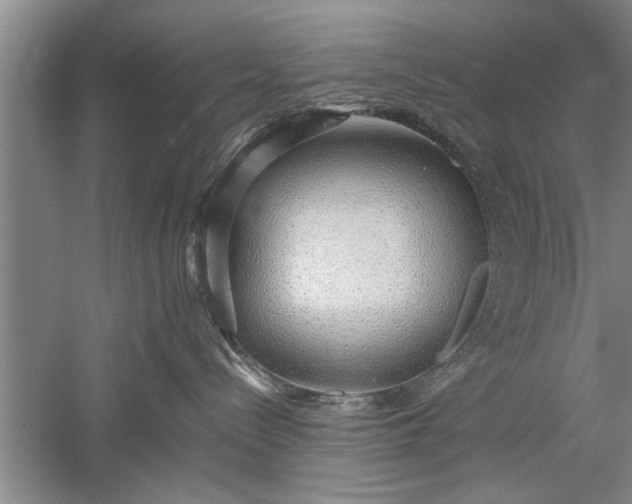 X0000052550288200507152208