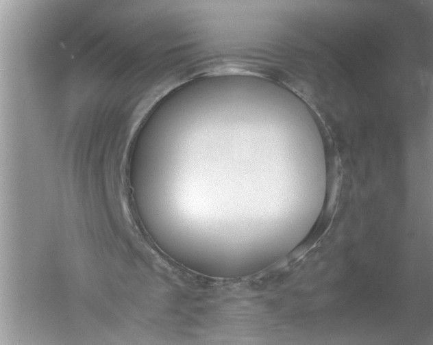 X0000052550289200507152207