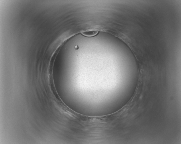 X0000052550290200507152207