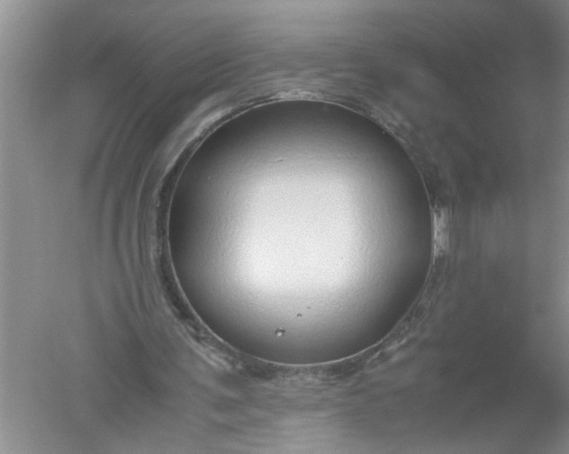 X0000052550291200507152207