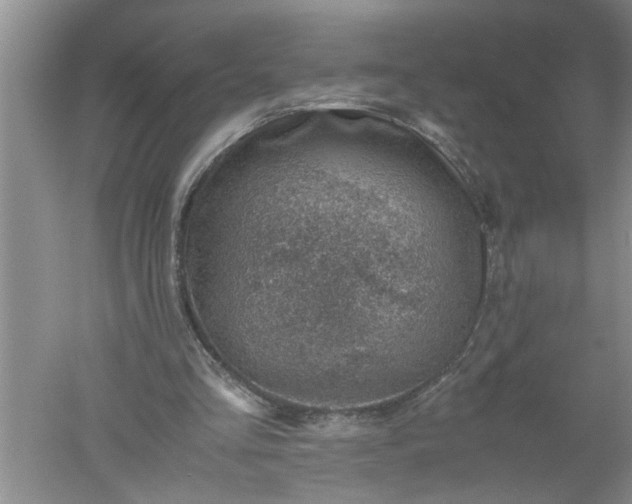 X0000052550293200507152207