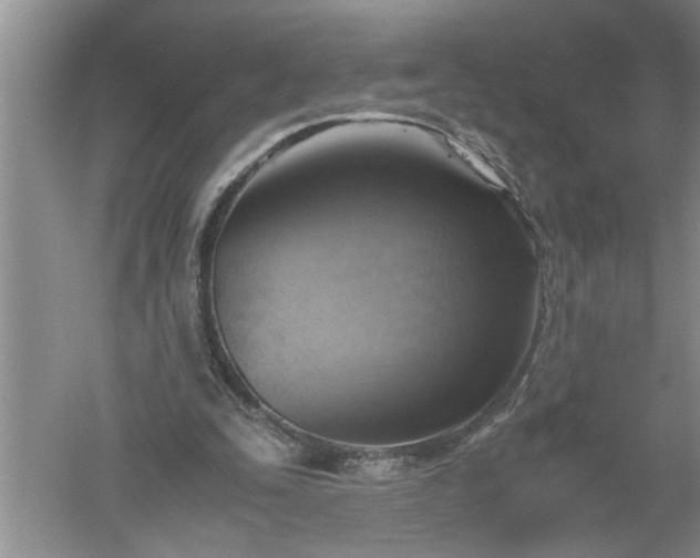 X0000052550295200507152207