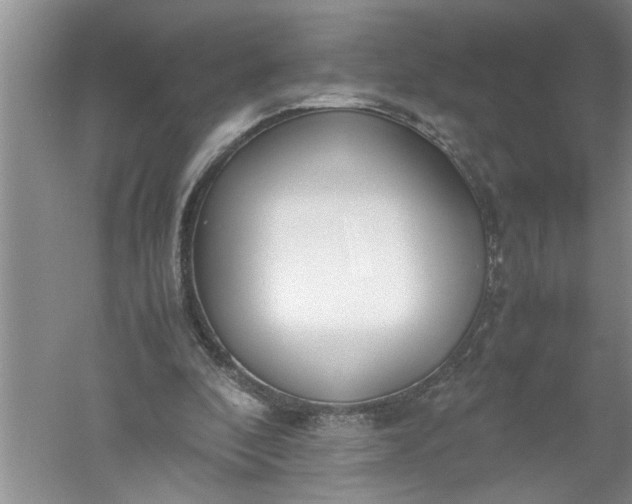 X0000052550296200507152207