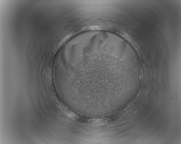 X0000052550297200507152207