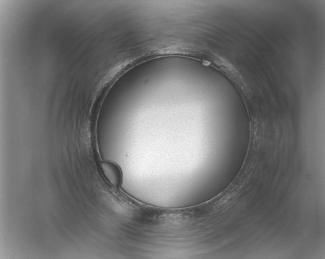 X0000052550298200507152207