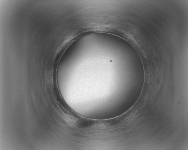 X0000052550299200507152207