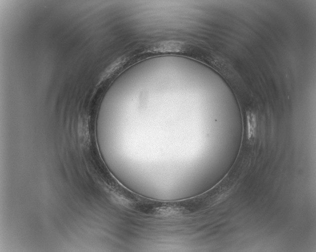 X0000052550300200507152207