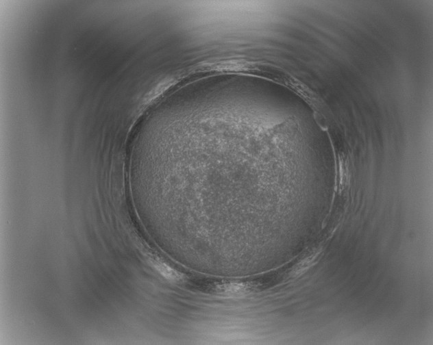 X0000052550301200507152207