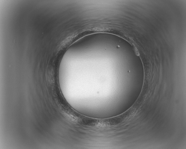 X0000052550303200507152207