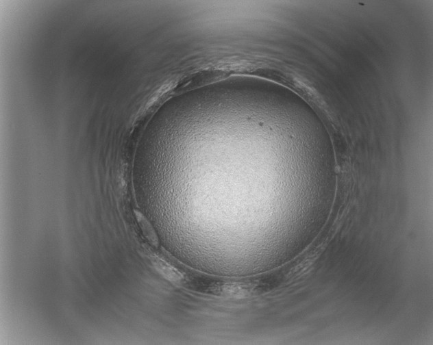 X0000052550305200507152207