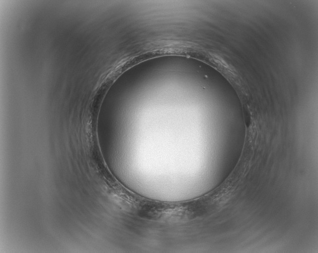 X0000052550306200507152207