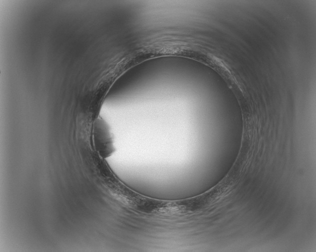 X0000052550307200507152207