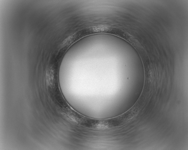 X0000052550308200507152207