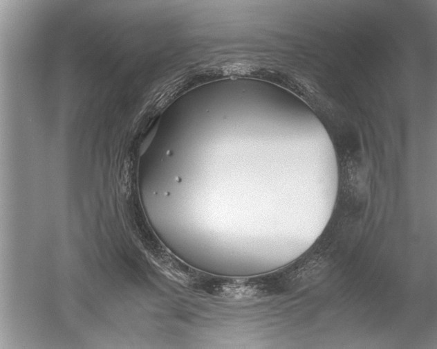 X0000052550311200507152206