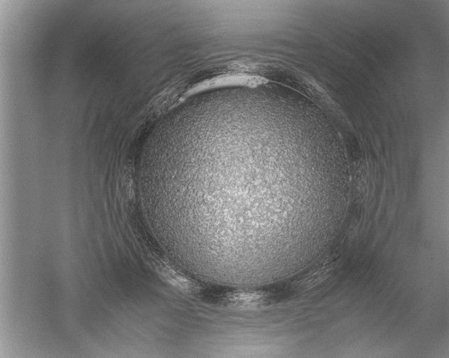 X0000052550313200507152206