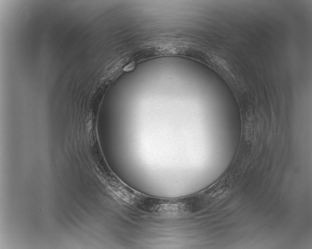 X0000052550314200507152206