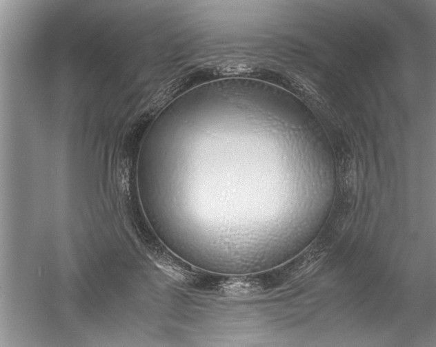 X0000052550315200507152206