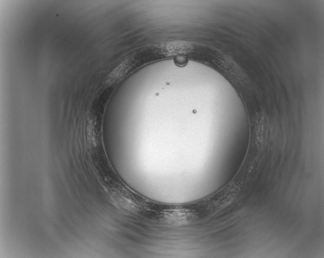 X0000052550316200507152206