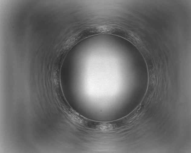 X0000052550317200507152206