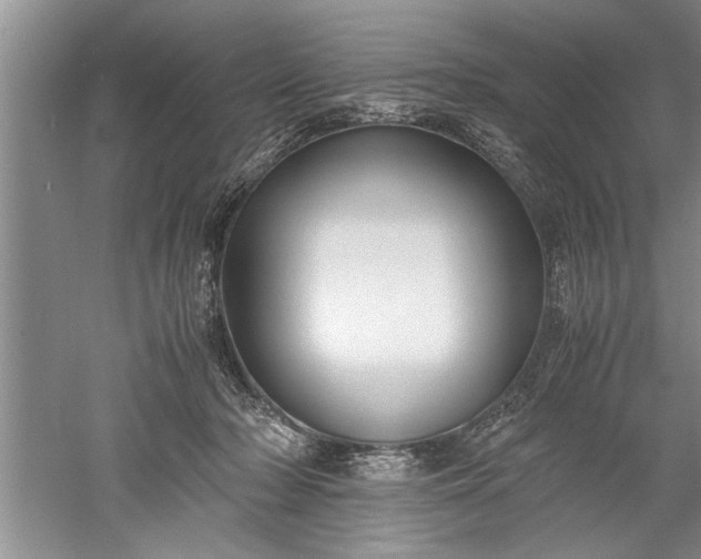 X0000052550318200507152206